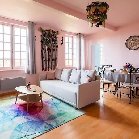 Le Rose Poudre - Spacieux Et Lumineux- Hypercentre Appartamento Lisle-sur-Tarn